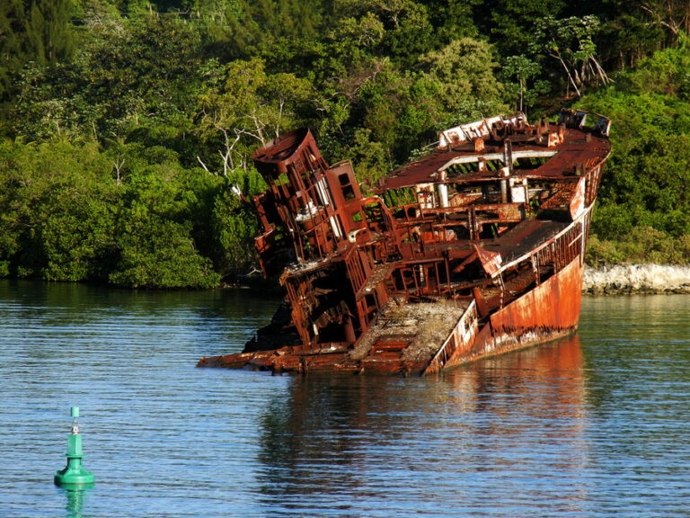 900_Bill-Swartwout-Photography_derelict-ship-hull-roatan-mahogany-bay-5296