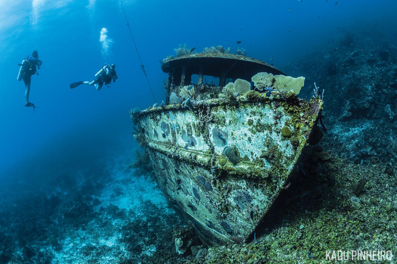 readers-choice-2018-roatan-shipwreck-kadu-pinheiro